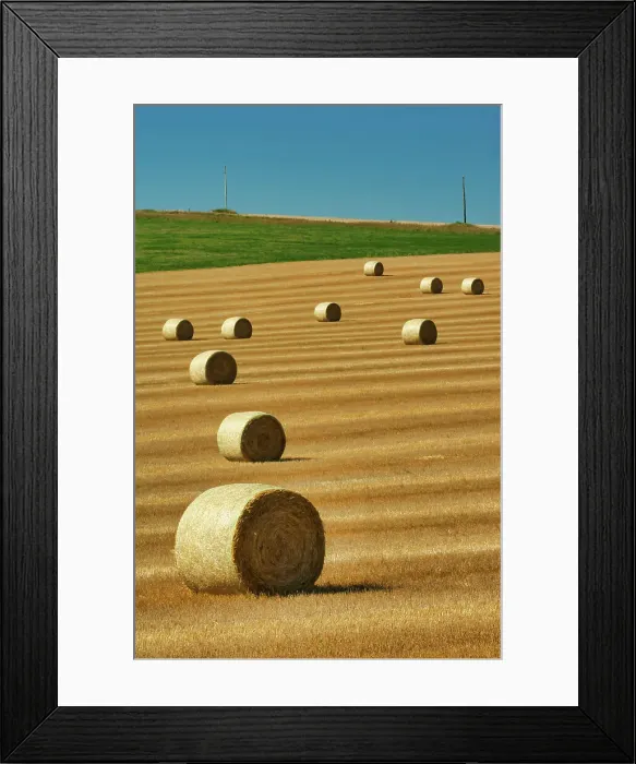 Framed Print : Bales Bruxelles, Manitoba, Canada Framed Print : Bales Bruxelles, Manitoba, Canada
