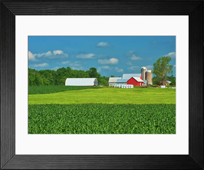 Framed Print : Corn field and red barn Monkland, Ontario, Canada