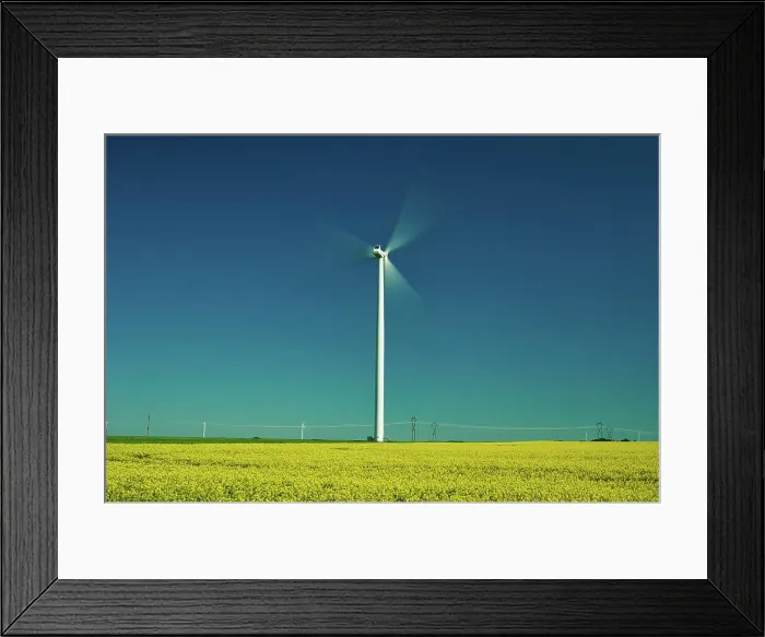 Framed Print : Wind turbines and canola crop Somerset, Manitoba, Canada