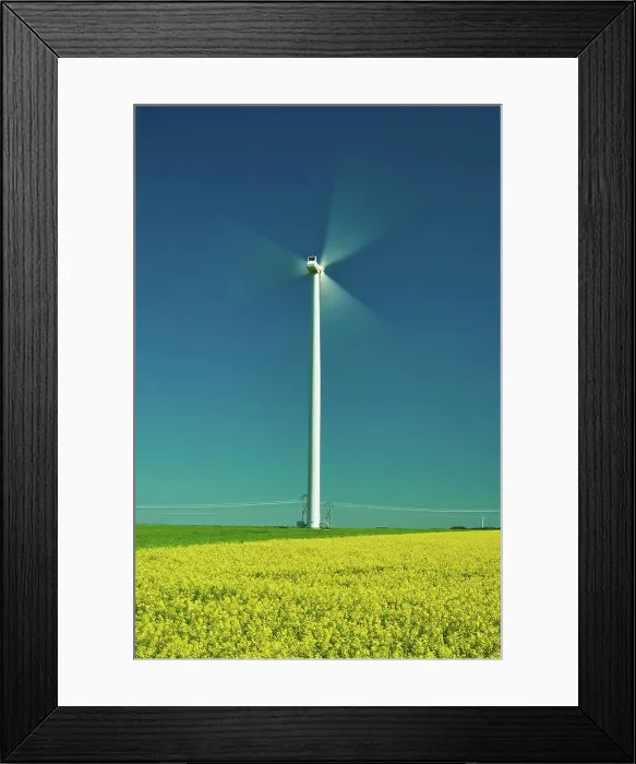 Framed Print : Wind turbines and canola crop Somerset, Manitoba, Canada Framed Print : Wind turbines and canola crop Somerset, Manitoba, Canada