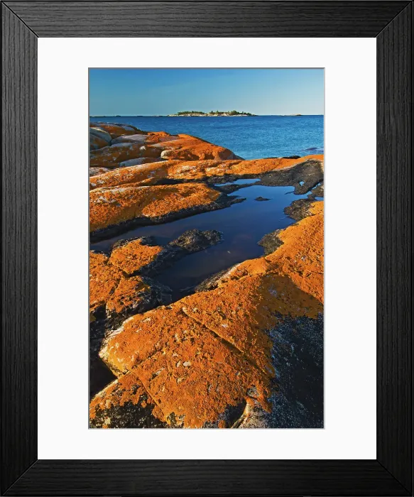 Framed Print : lichen covered rock on island South of Philip Edward Island near Killarney, Ontario, Canada Framed Print : lichen covered rock on island South of Philip Edward Island near Killarney, Ontario, Canada