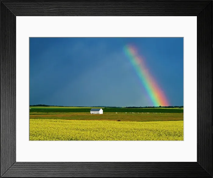 Framed Print : Rainbow and bales after prairie storm Near Mariapolis Manitoba MB Canada Framed Print : Rainbow and bales after prairie storm Near Mariapolis Manitoba MB Canada