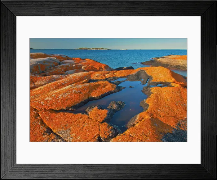 Framed Print : Lichen covered, Glacially eroded Precambrian shield rock on coast islands in Georgian Bay (Lake Huron) near south end of Killarney Provincial Park. South of Philip Edward Island. Adjacent Killarney Provincial Park, Ontario, Canada Framed Print : Lichen covered, Glacially eroded Precambrian shield rock on coast islands in Georgian Bay (Lake Huron) near south end of Killarney Provincial Park. South of Philip Edward Island. Adjacent Killarney Provincial Park, Ontario, Canada