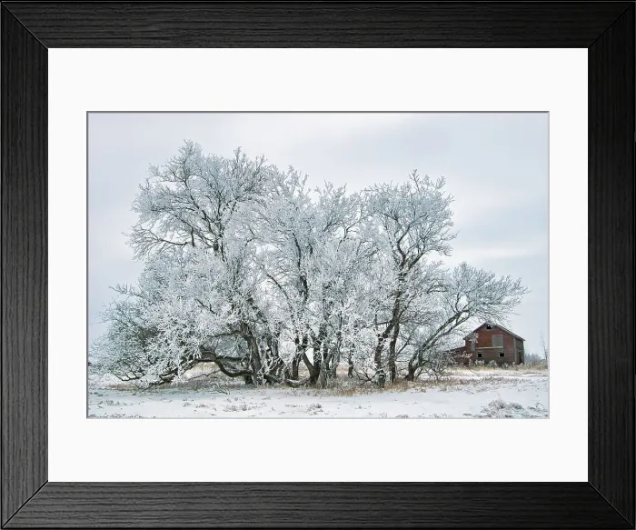 Framed Print : WInter farm scenic with barn. Altona, Manitoba, Canada
