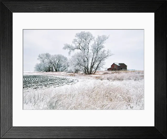 Framed Print : WInter farm scenic with barn. Altona, Manitoba, Canada Framed Print : WInter farm scenic with barn. Altona, Manitoba, Canada