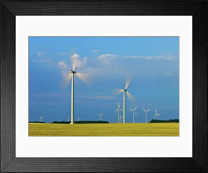 Framed Print : wind turbines and canola crop Somerset, Manitoba, Canada