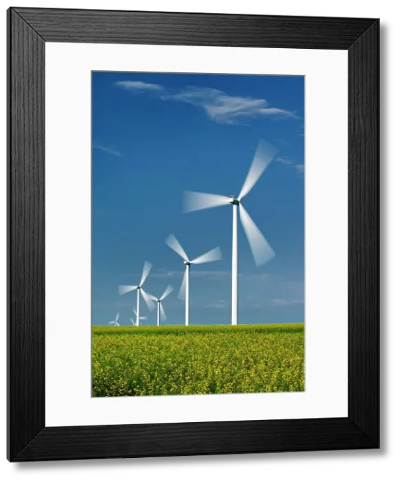 Framed Print : Wind turbines and canola crop Somerset, Manitoba, Canada Framed Print : Wind turbines and canola crop Somerset, Manitoba, Canada