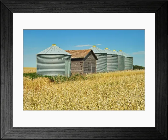 Framed Print : Grain bins Somerset, Manitoba, Canada Framed Print : Grain bins Somerset, Manitoba, Canada