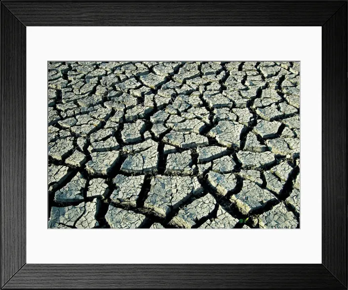 Framed Print : Drought in agricultural fields St. Jean Baptiste, Manitoba, Canada Framed Print : Drought in agricultural fields St. Jean Baptiste, Manitoba, Canada