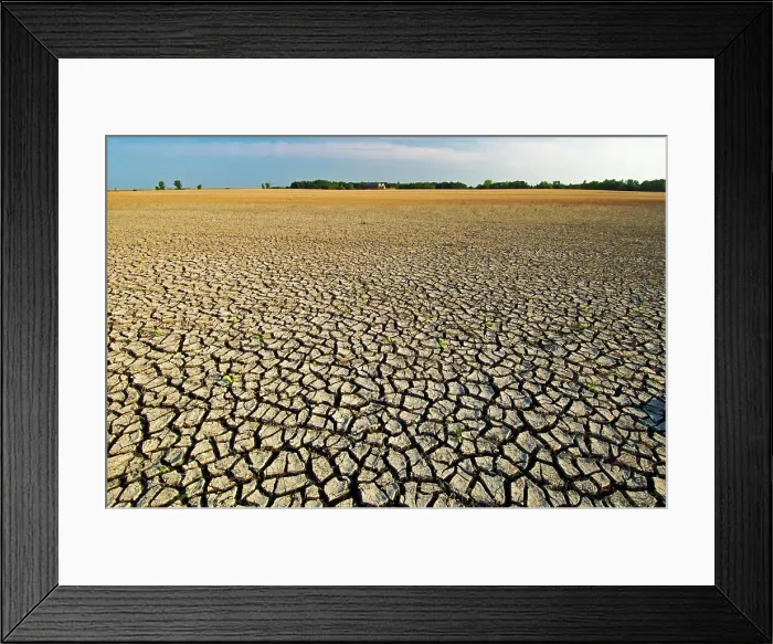 Framed Print : Drought in agricultural fields St. Jean Baptiste, Manitoba, Canada Framed Print : Drought in agricultural fields St. Jean Baptiste, Manitoba, Canada