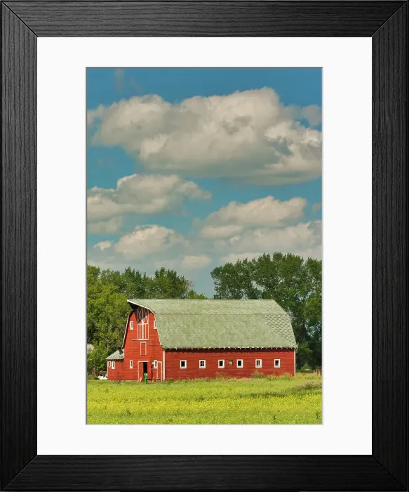 Framed Print : Red barn and canola crop Beausejour, Manitoba, Canada Framed Print : Red barn and canola crop Beausejour, Manitoba, Canada
