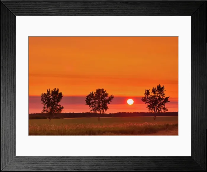Framed Print : Trres on the prairie at sunrise Fannystelle, Manitoba, Canada Framed Print : Trres on the prairie at sunrise Fannystelle, Manitoba, Canada
