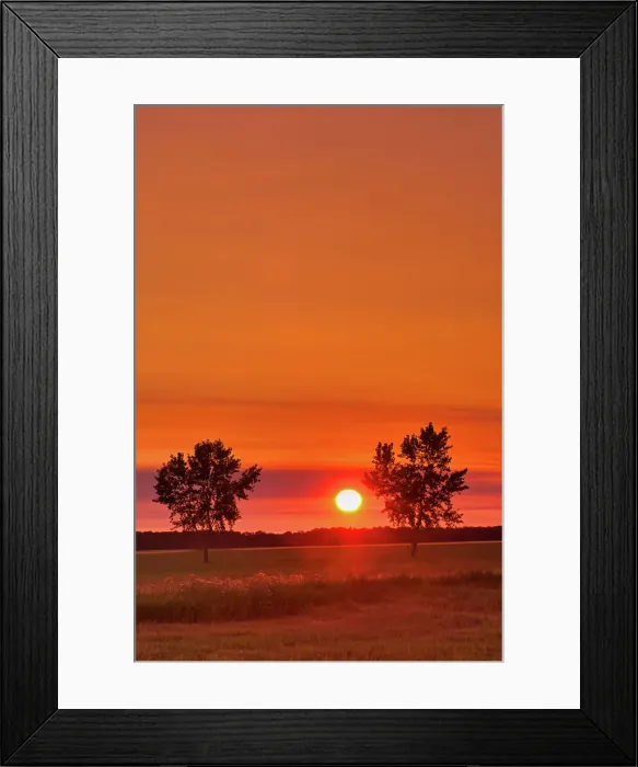 Framed Print : Trres on the prairie at sunrise Fannystelle, Manitoba, Canada Framed Print : Trres on the prairie at sunrise Fannystelle, Manitoba, Canada