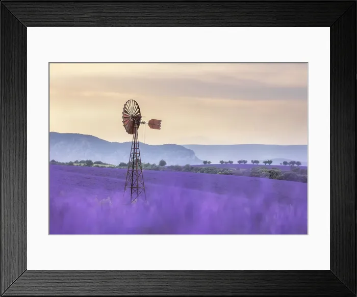 Framed Print : Dissused wind pump amongst lavender fields, Valensole Plateau, Provence, France Framed Print : Dissused wind pump amongst lavender fields, Valensole Plateau, Provence, France