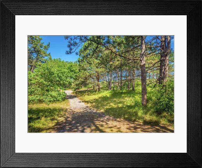 Framed Print : Hiking trail in the fairy forest through the dunes, Spiekeroog, East Frisian Islands, East Frisia, Lower Saxony, Germany Framed Print : Hiking trail in the fairy forest through the dunes, Spiekeroog, East Frisian Islands, East Frisia, Lower Saxony, Germany