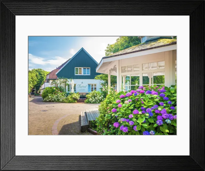 Framed Print : Pavilion at the town hall with lush hydrangeas in the village center of Spiekeroog, East Frisian Islands, East Frisia, Lower Saxony, Germany Framed Print : Pavilion at the town hall with lush hydrangeas in the village center of Spiekeroog, East Frisian Islands, East Frisia, Lower Saxony, Germany