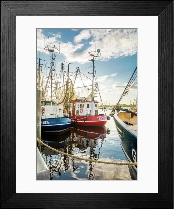 Framed Print : Shrimp boats in the harbor of Greetsiel at sunrise, East Frisia, Lower Saxony, Germany Framed Print : Shrimp boats in the harbor of Greetsiel at sunrise, East Frisia, Lower Saxony, Germany