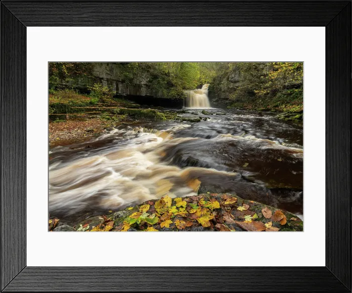 Framed Print : Cauldron Falls waterfall at West Burton in the Yorkshire Dales National Park, Yorkshire, England. Autumn (November) 2022 Framed Print : Cauldron Falls waterfall at West Burton in the Yorkshire Dales National Park, Yorkshire, England. Autumn (November) 2022