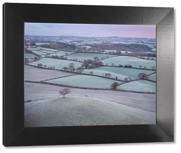 Frost covered countryside at dawn, Devon, England. Winter (January) 2024