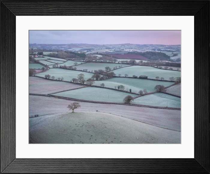 Framed Print : Frost covered countryside at dawn, Devon, England. Winter (January) 2024 Framed Print : Frost covered countryside at dawn, Devon, England. Winter (January) 2024