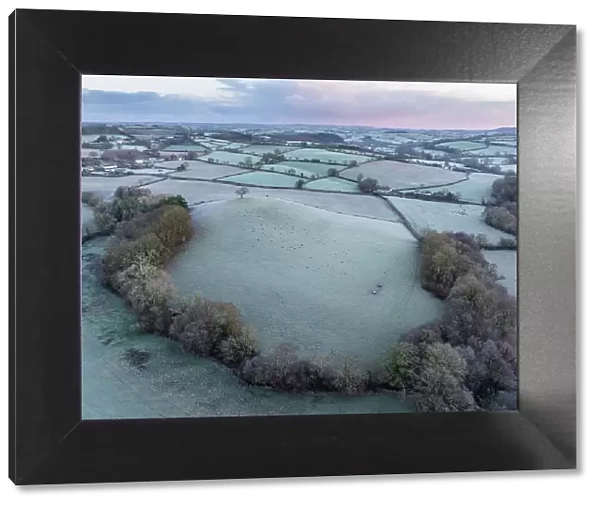 Frosty rural countryside at dawn on a winter morning, Devon, England. Winter (January) 2024