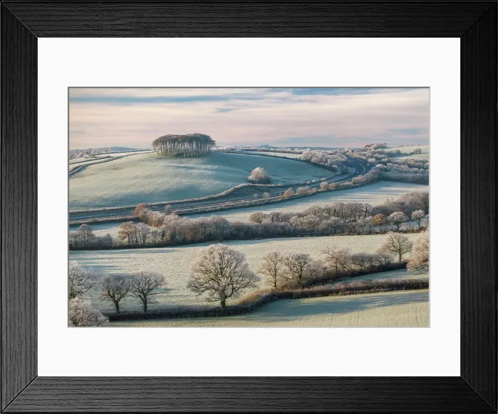 Framed Print : Frosty countryside with views to Cookworthy Knapp in the distance, Lifton, Devon, England. Autumn (November) 2023 Framed Print : Frosty countryside with views to Cookworthy Knapp in the distance, Lifton, Devon, England. Autumn (November) 2023