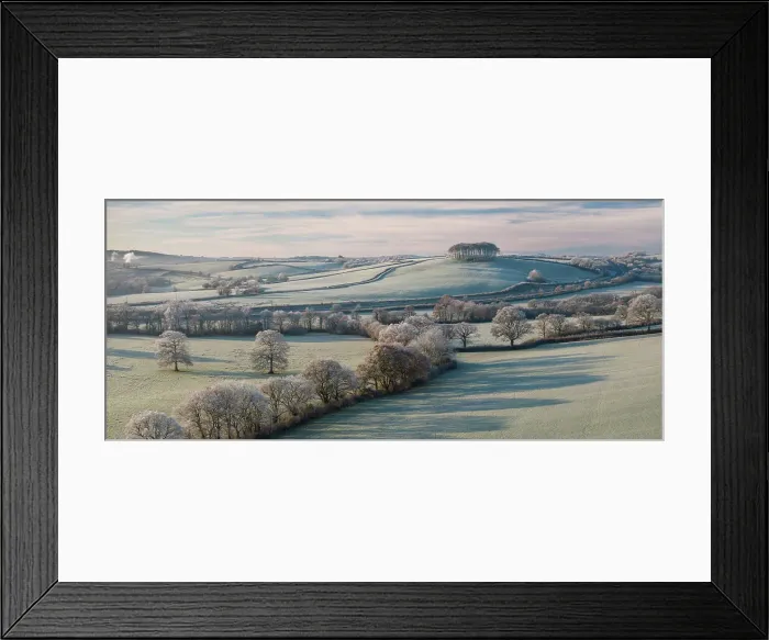 Framed Print : Cookworthy Knapp (Nearly Home Trees) on a frosty winter morning, Lifton, Devon, England. Winter (December) 2023 Framed Print : Cookworthy Knapp (Nearly Home Trees) on a frosty winter morning, Lifton, Devon, England. Winter (December) 2023