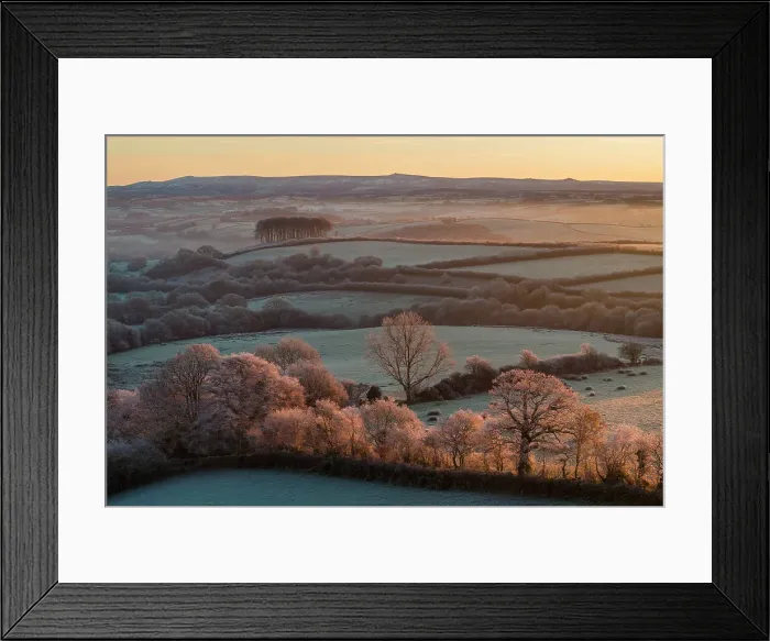 Framed Print : Cookworthy Knapp (Nearly Home Trees) at sunrise on a frosty winter morning, Lifton, Devon, England. Winter (December) 2023
