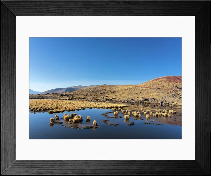 Framed Print : Laguna with turfs of grass near Rainbow mountain, near Uchullujllo, Pitumarca district, Canchis Province, Cuzco Region, Peru