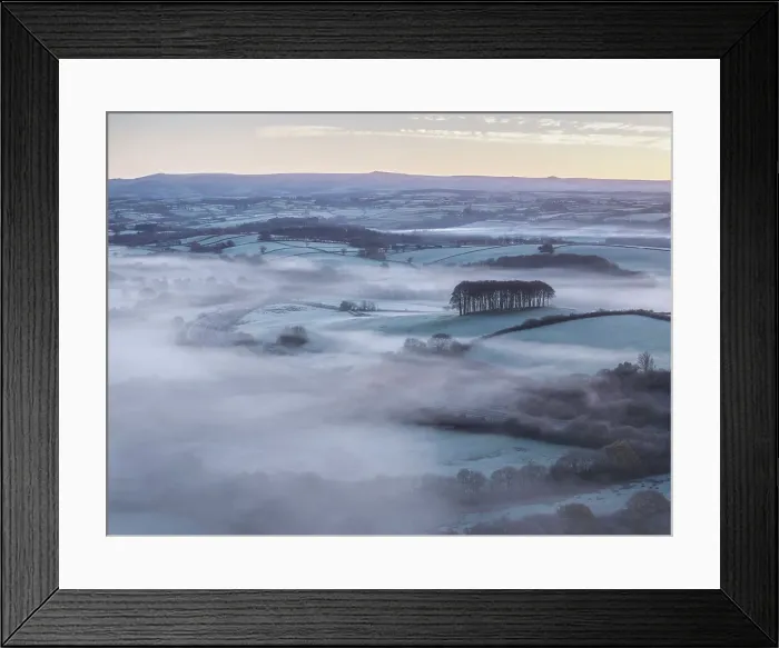 Framed Print : Aerial view of Cookworthy Knapp (Nearly Home Trees), Lifton in West Devon, England. Autumn (November) 2023 Framed Print : Aerial view of Cookworthy Knapp (Nearly Home Trees), Lifton in West Devon, England. Autumn (November) 2023
