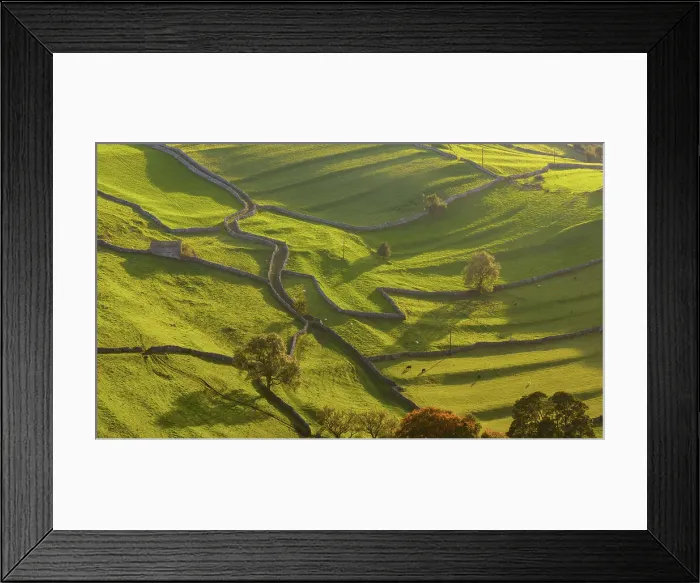 Framed Print : Rolling countryside and dry stone walls near Settle in the Yorkshire Dales National Park, Yorkshire, England. Autumn (October) 2023 Framed Print : Rolling countryside and dry stone walls near Settle in the Yorkshire Dales National Park, Yorkshire, England. Autumn (October) 2023
