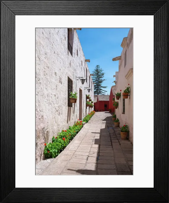 Framed Print : Passageway Calle Cordoba with plants at Monastery of Santa Catalina de Siena, UNESCO, Arequipa, Arequipa Province, Arequipa Region, Peru Framed Print : Passageway Calle Cordoba with plants at Monastery of Santa Catalina de Siena, UNESCO, Arequipa, Arequipa Province, Arequipa Region, Peru