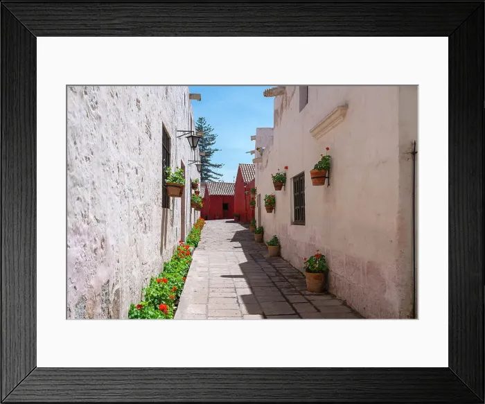 Framed Print : Passageway Calle Cordoba with plants at Monastery of Santa Catalina de Siena, UNESCO, Arequipa, Arequipa Province, Arequipa Region, Peru Framed Print : Passageway Calle Cordoba with plants at Monastery of Santa Catalina de Siena, UNESCO, Arequipa, Arequipa Province, Arequipa Region, Peru