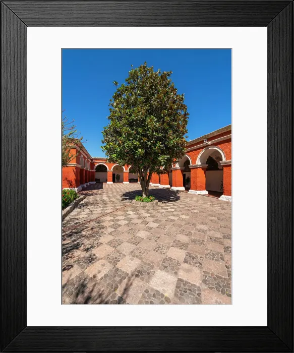 Framed Print : Tree at cloister Monastery of Santa Catalina de Siena, UNESCO, Arequipa, Arequipa Province, Arequipa Region, Peru Framed Print : Tree at cloister Monastery of Santa Catalina de Siena, UNESCO, Arequipa, Arequipa Province, Arequipa Region, Peru