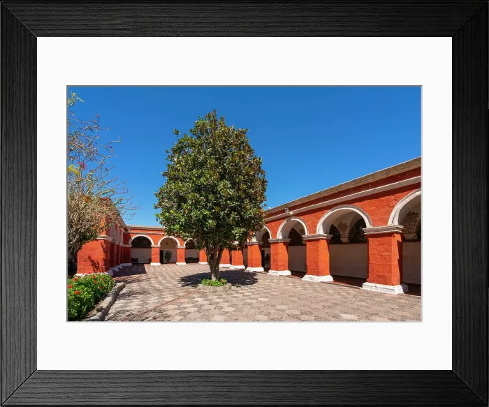 Framed Print : Tree at cloister Monastery of Santa Catalina de Siena, UNESCO, Arequipa, Arequipa Province, Arequipa Region, Peru Framed Print : Tree at cloister Monastery of Santa Catalina de Siena, UNESCO, Arequipa, Arequipa Province, Arequipa Region, Peru