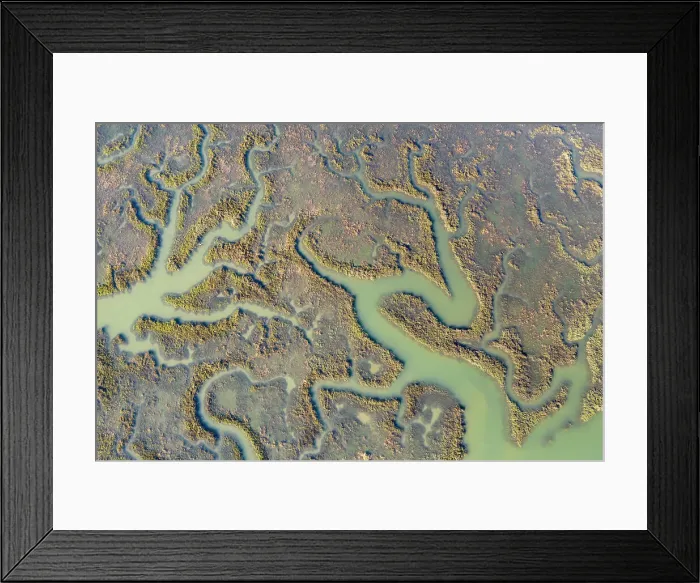 Framed Print : Flooded salt marshes on the Camel Estuary, Wadebridge, Cornwall, England. Spring (April) 2021 Framed Print : Flooded salt marshes on the Camel Estuary, Wadebridge, Cornwall, England. Spring (April) 2021