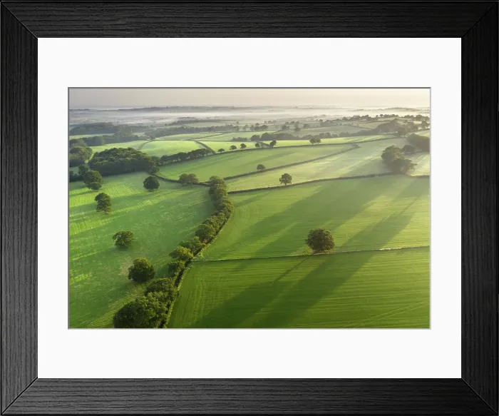 Framed Print : Aerial view of fields and hedgerows in rural Devon, England. Autumn (September) 2020 Framed Print : Aerial view of fields and hedgerows in rural Devon, England. Autumn (September) 2020