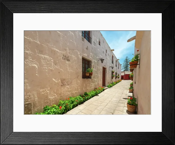 Framed Print : Passageway Calle Cordoba with plants at Monastery of Santa Catalina de Siena, UNESCO, Arequipa, Arequipa Province, Arequipa Region, Peru Framed Print : Passageway Calle Cordoba with plants at Monastery of Santa Catalina de Siena, UNESCO, Arequipa, Arequipa Province, Arequipa Region, Peru