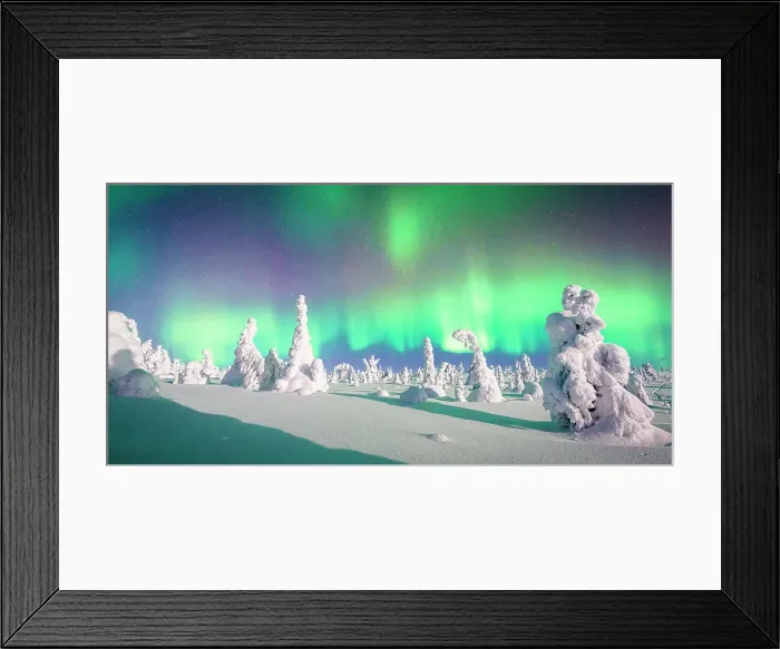 Framed Print : Souce trees covered in snowand ice with Northern Lights, Riisitunturi National Park, Lapland, Finland Framed Print : Souce trees covered in snowand ice with Northern Lights, Riisitunturi National Park, Lapland, Finland