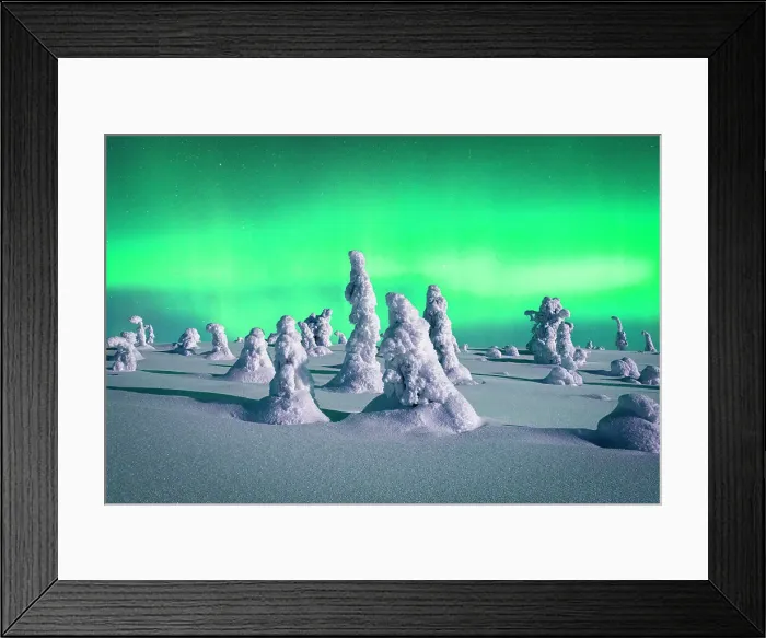 Framed Print : Souce trees covered in snowand ice with Northern Lights, Riisitunturi National Park, Lapland, Finland