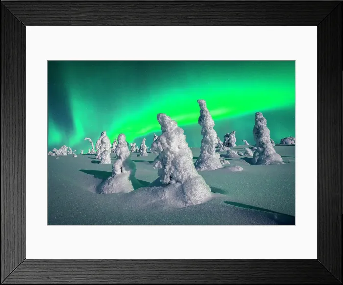 Framed Print : Souce trees covered in snowand ice with Northern Lights, Riisitunturi National Park, Lapland, Finland