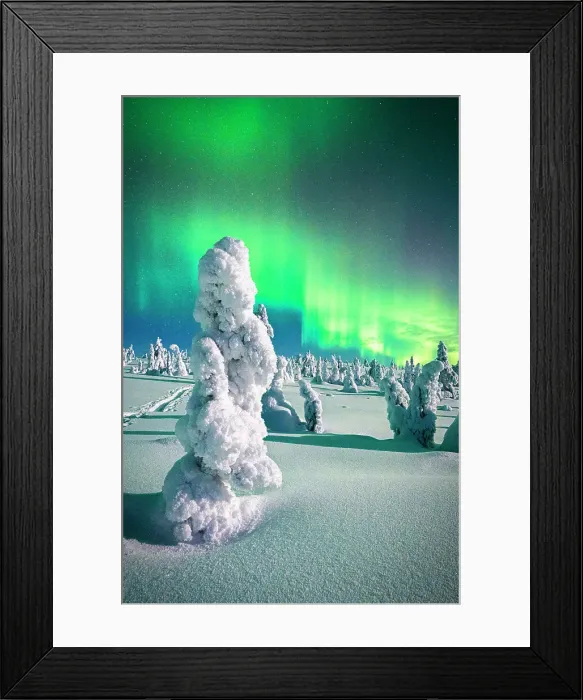 Framed Print : Souce trees covered in snowand ice with Northern Lights, Riisitunturi National Park, Lapland, Finland Framed Print : Souce trees covered in snowand ice with Northern Lights, Riisitunturi National Park, Lapland, Finland