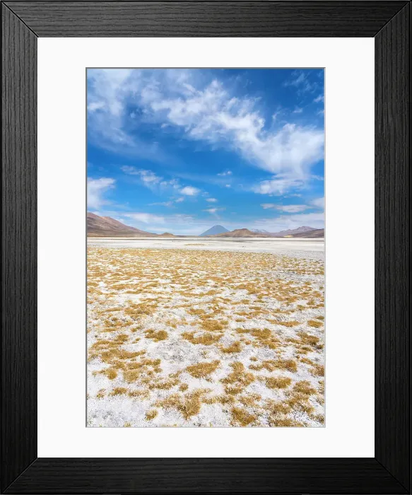 Framed Print : Salt flats with grass and distant views of El Misti and Chachani volcanoes, Salinas y Aguada Blanca National Reserve, Arequipa Province, Arequipa Region, Peru Framed Print : Salt flats with grass and distant views of El Misti and Chachani volcanoes, Salinas y Aguada Blanca National Reserve, Arequipa Province, Arequipa Region, Peru