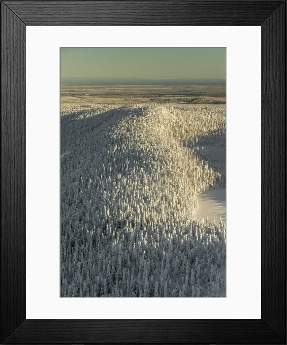 Framed Print : Aerial of snow covered spruce forest, Kuusamo, Finland Framed Print : Aerial of snow covered spruce forest, Kuusamo, Finland