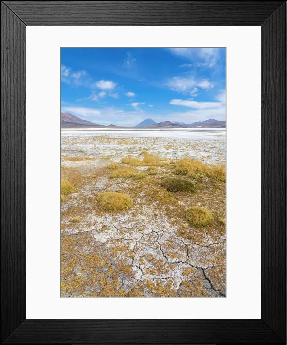 Framed Print : Salt flats with grass and distant views of El Misti and Chachani volcanoes, Salinas y Aguada Blanca National Reserve, Arequipa Province, Arequipa Region, Peru Framed Print : Salt flats with grass and distant views of El Misti and Chachani volcanoes, Salinas y Aguada Blanca National Reserve, Arequipa Province, Arequipa Region, Peru