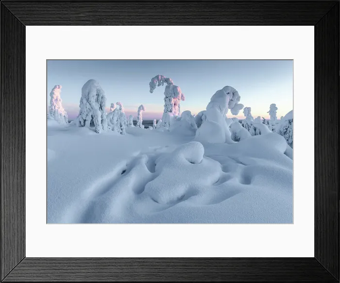 Framed Print : Frozen forest on Kuntivaara Fell, Kuusamo, Finland
