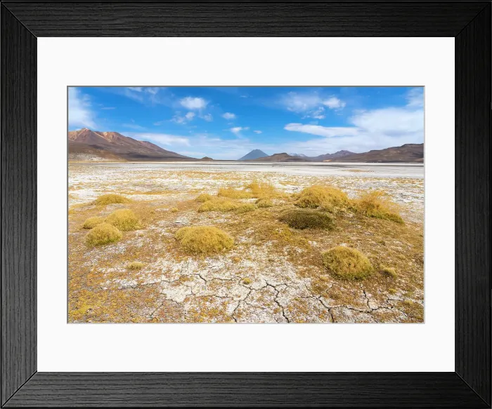 Framed Print : Salt flats with grass and distant views of El Misti and Chachani volcanoes, Salinas y Aguada Blanca National Reserve, Arequipa Province, Arequipa Region, Peru Framed Print : Salt flats with grass and distant views of El Misti and Chachani volcanoes, Salinas y Aguada Blanca National Reserve, Arequipa Province, Arequipa Region, Peru