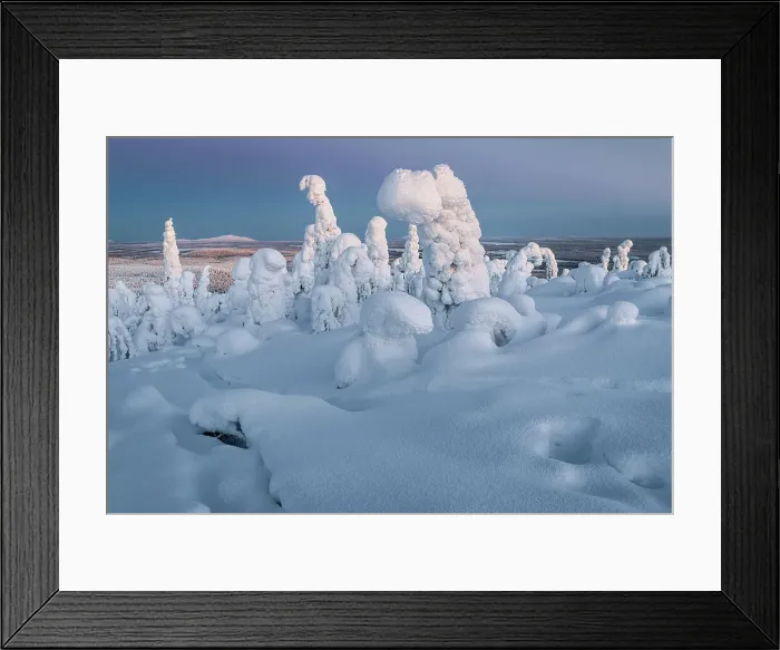 Framed Print : Frozen forest on Kuntivaara Fell, Kuusamo, Finland