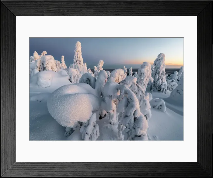 Framed Print : Frozen forest on Kuntivaara Fell, Kuusamo, Finland