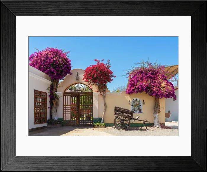 Framed Print : Old cart by gate of Vista Alegre winery, Parcona District, Ica Province, Ica Region, Peru